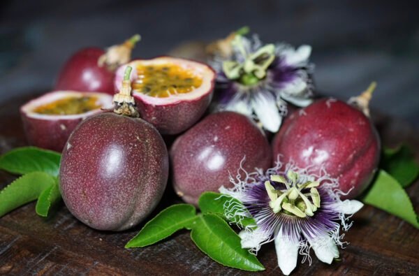 5 Handpicked Passion Fruit Dessert Recipes By Marzi Marzis Garden 0851