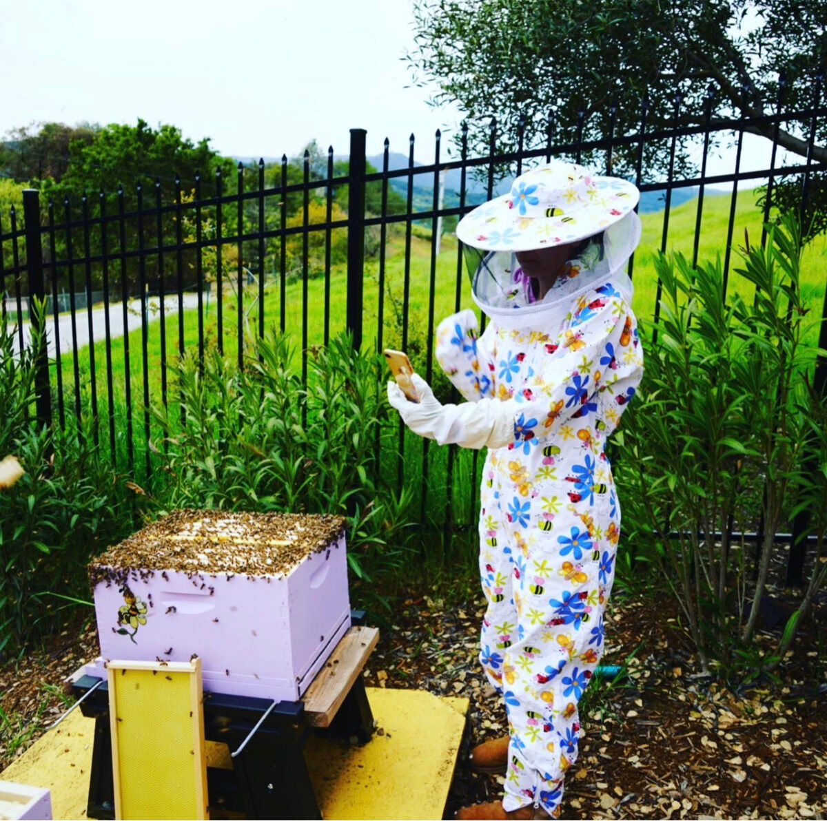 Nowruz Greeting Cards: Persian New Year Joy from Marzi’s Garden! 